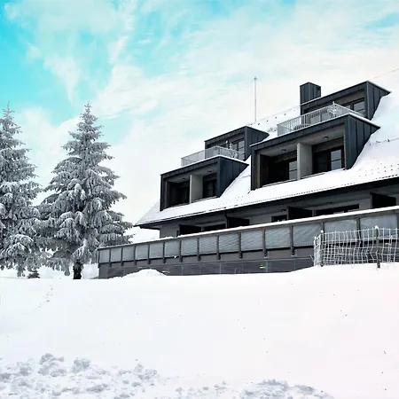 V Orlickych Horach C21 By Interhome * Říčky